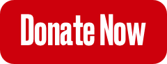 Donate Now
